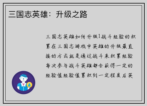 三国志英雄：升级之路